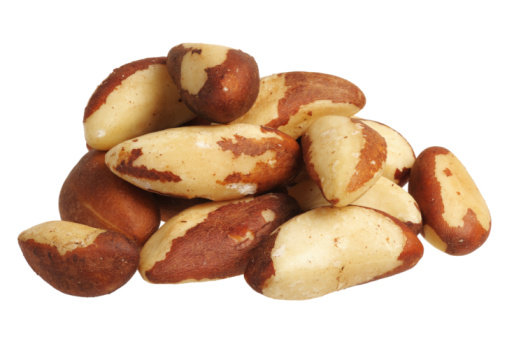 Brazil nut (Bertholletia excelsa)